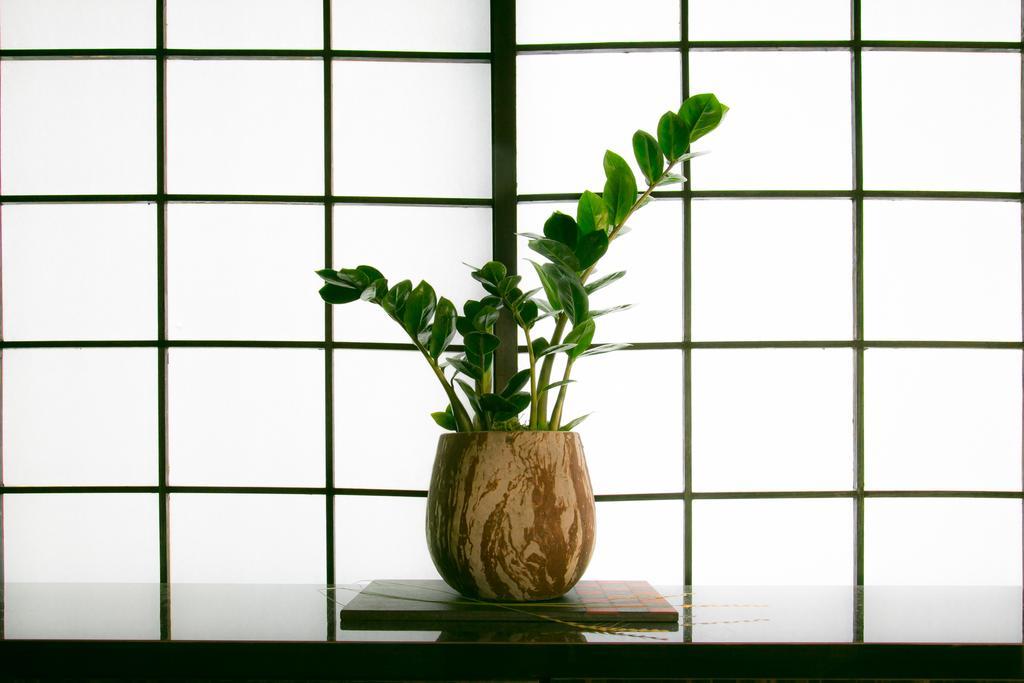 Hosta Nijo Aoi Villa Kyoto Eksteriør bilde